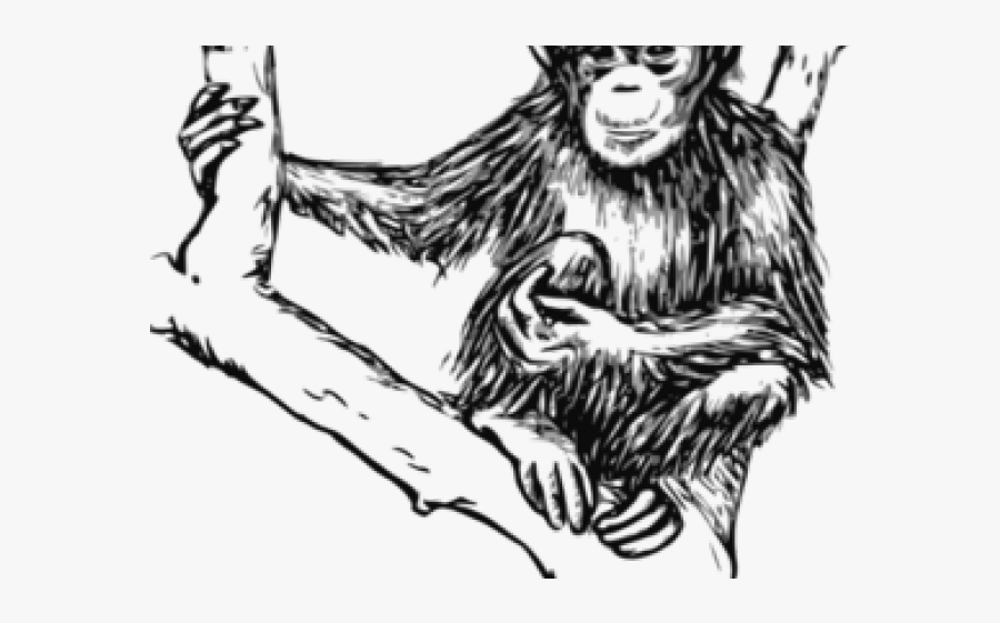Chimpanzee Black And White Draw, Transparent Clipart