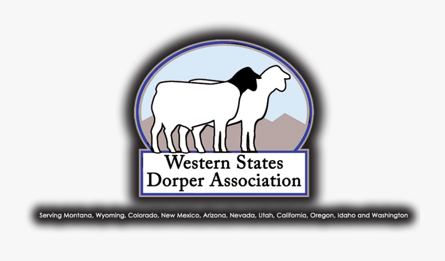 Dairy Cow, Transparent Clipart