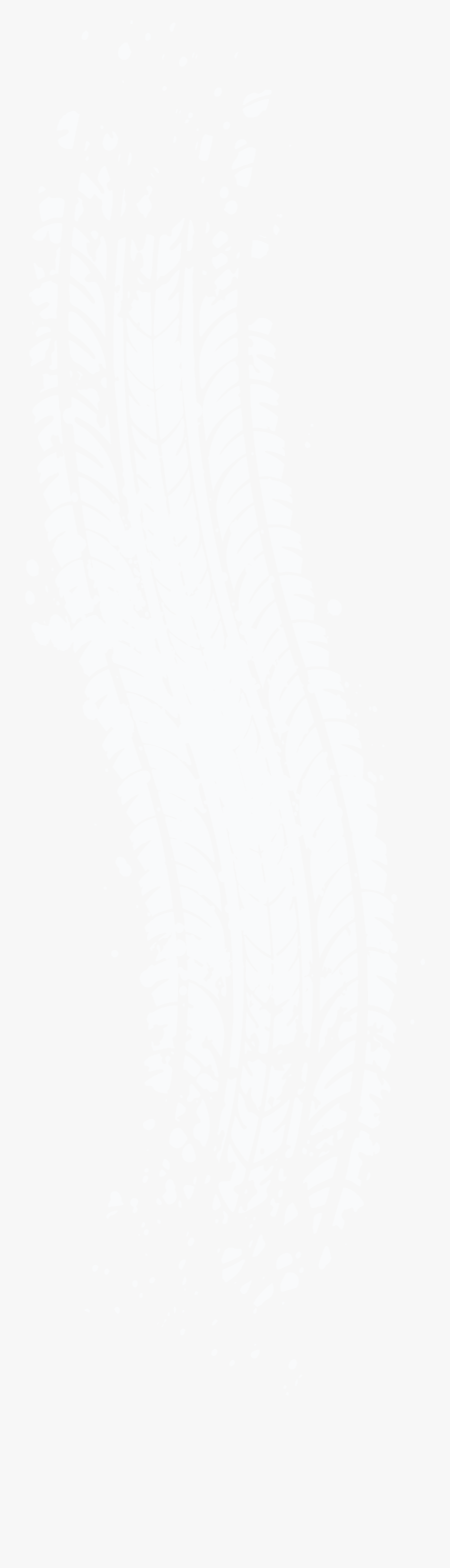 Atlanta Worn Accident Attorney - Tyre Texture Png, Transparent Clipart