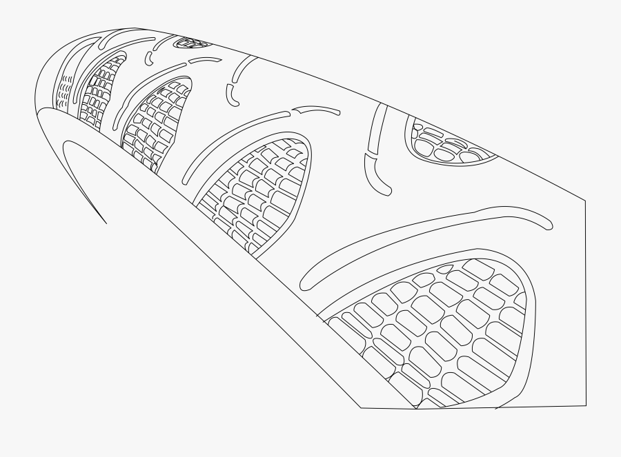 Top Of Continental Grand Prix 4 Seasson Showing Tread - Sketch, Transparent Clipart