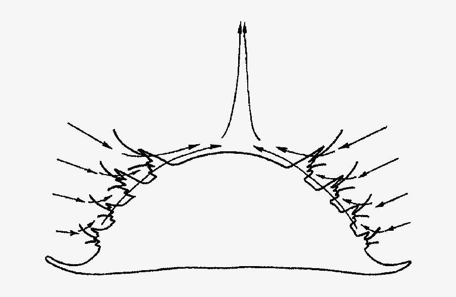 Transparent Colonial Clipart - Illustration, Transparent Clipart