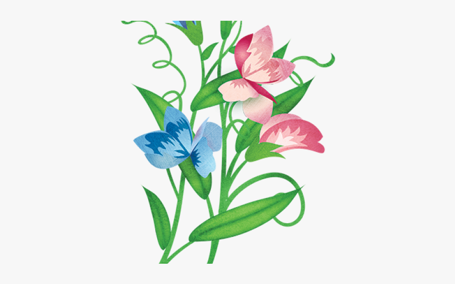 Pea Clipart Pea Seed - Iris, Transparent Clipart