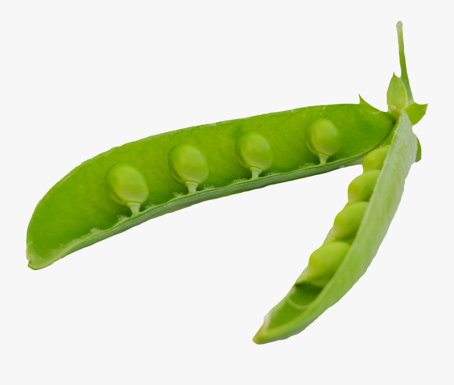 Pods Png Free Images - Pea In Pod Png, Transparent Clipart