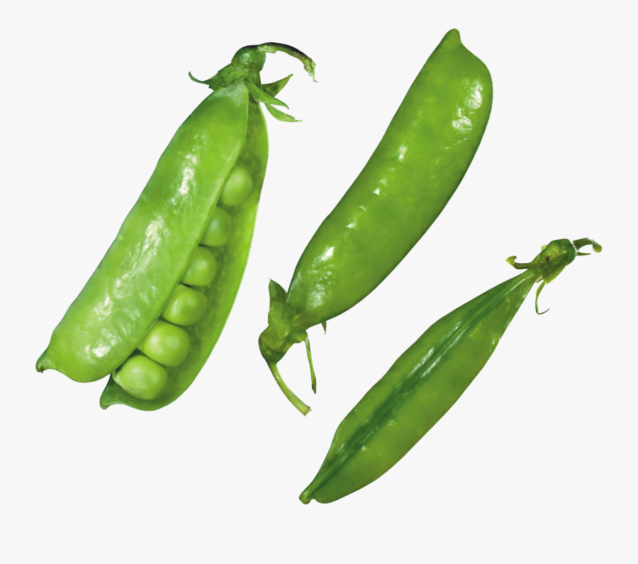 Green Pea Clipart , Png Download - Peas Vegetable Png, Transparent Clipart
