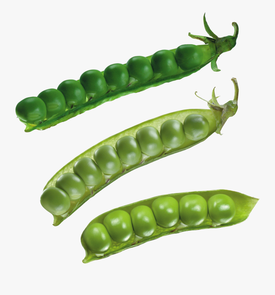 Peas Clipart Transparent Background - Snow Peas, Transparent Clipart