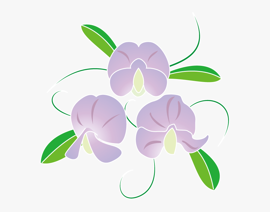 春の花2 06 スイートピーイラスト, Transparent Clipart