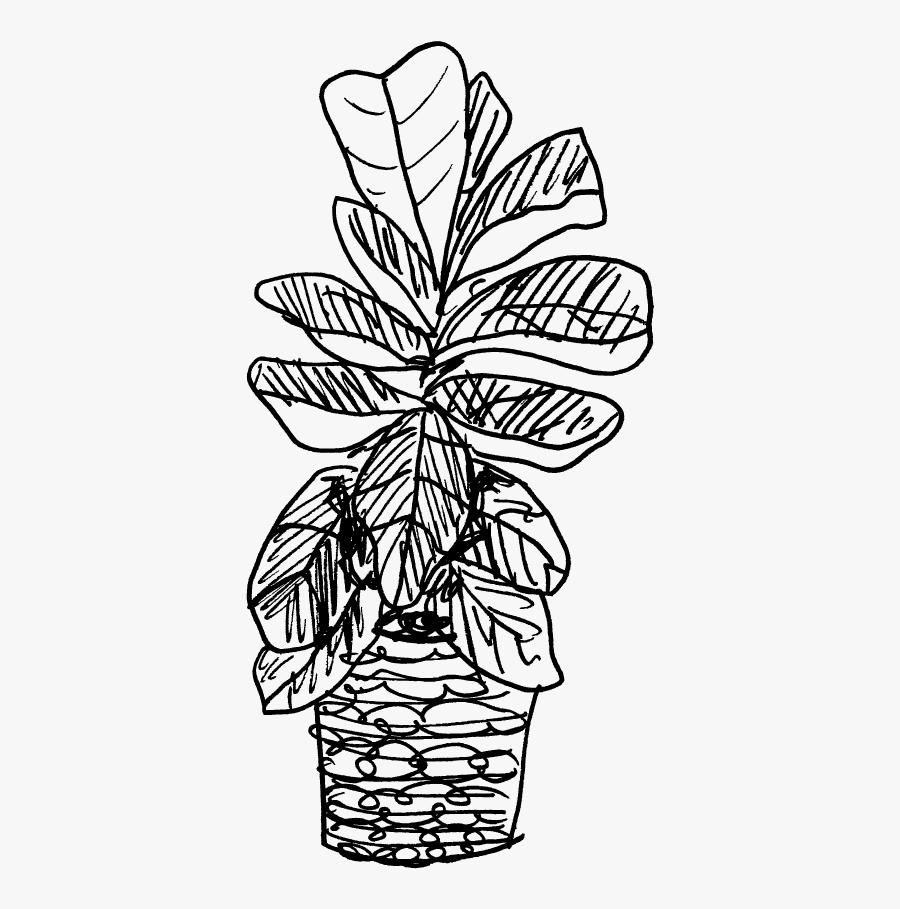 Black And White Fiddle Leaf Clipart, Transparent Clipart
