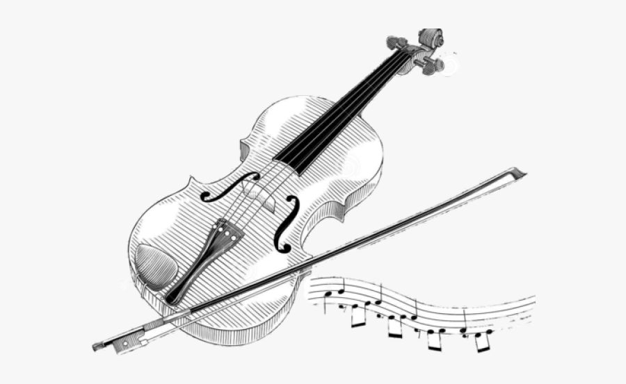 Violin Black And White Drawing, Transparent Clipart