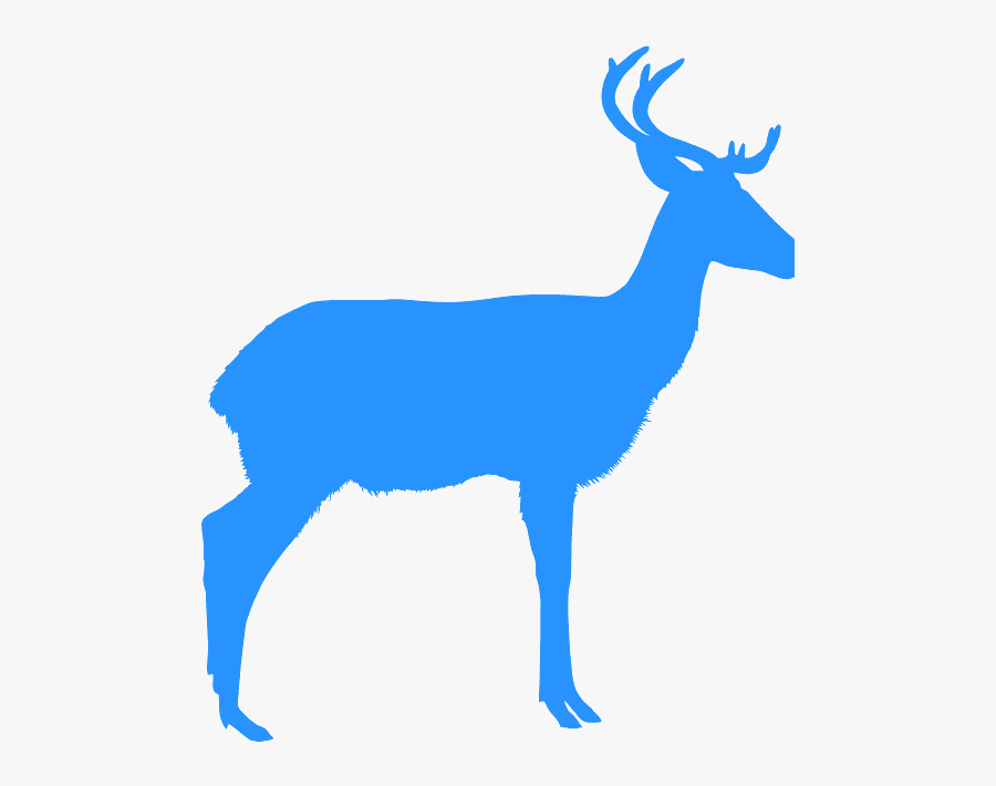 Reindeer, Transparent Clipart