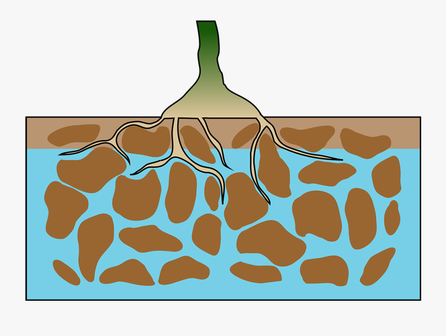 Saturated Soils, Transparent Clipart