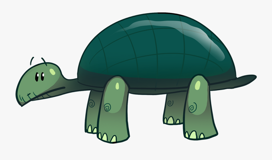 Tortoise, Transparent Clipart