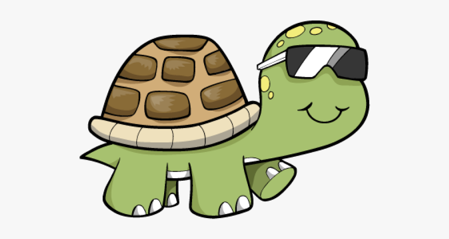 Cool Turtle, Transparent Clipart