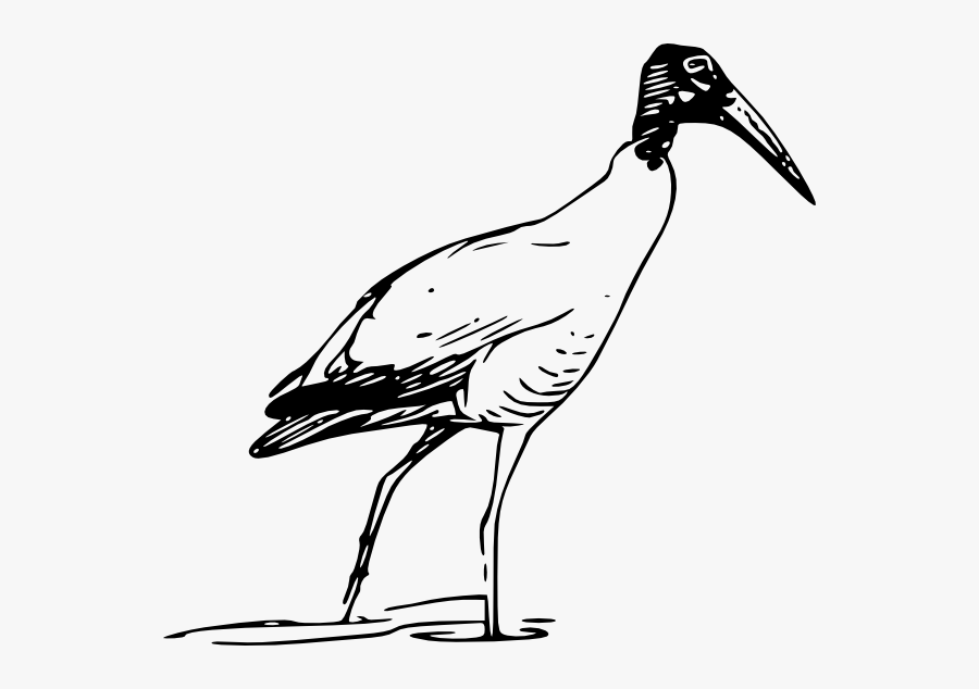 Ibis Bird Walking In Lake Clip Art Animal Download - Ibis Clipart, Transparent Clipart