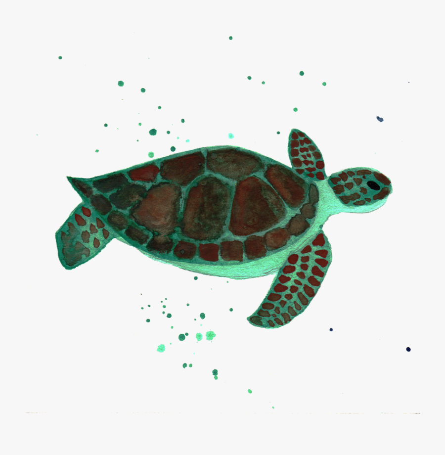 Sea Turtle, Transparent Clipart