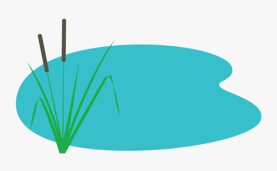 Rain Clipart Pond Water - Pond Water Clipart, Transparent Clipart