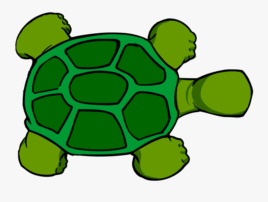 Top View Free Vector - Turtle Cartoon Top View, Transparent Clipart