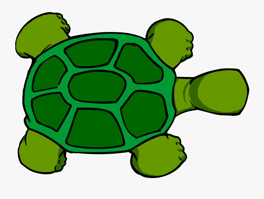 Top View Free Vector - Turtle Cartoon Top View , Free Transparent