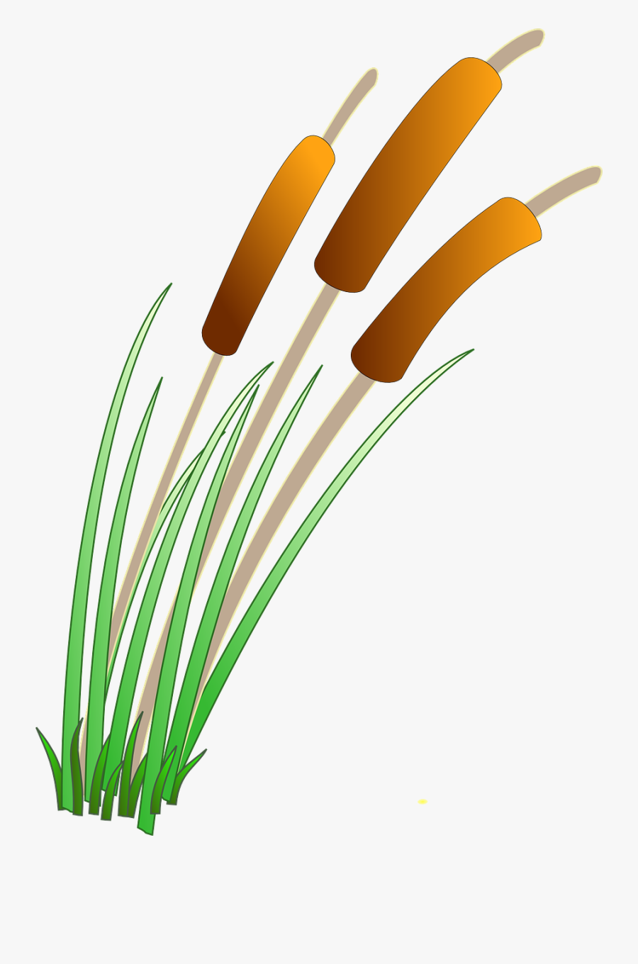 Reeds Plants Water Pond Lake Png Image - Reeds Clipart, Transparent Clipart