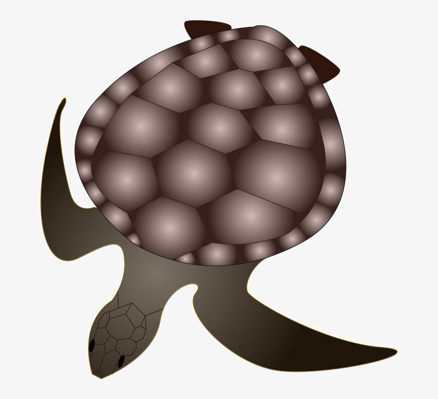 Turtle - เต่ า เสือดาว Png, Transparent Clipart