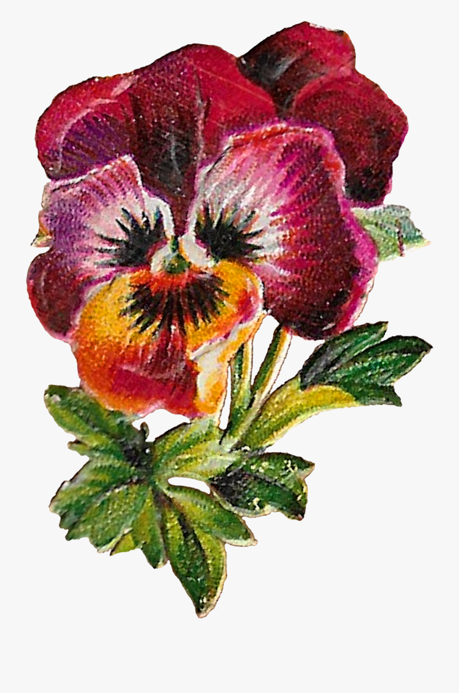 Floral Clipart Image Flower Pansy Purple Digital Download - Artificial Flower, Transparent Clipart