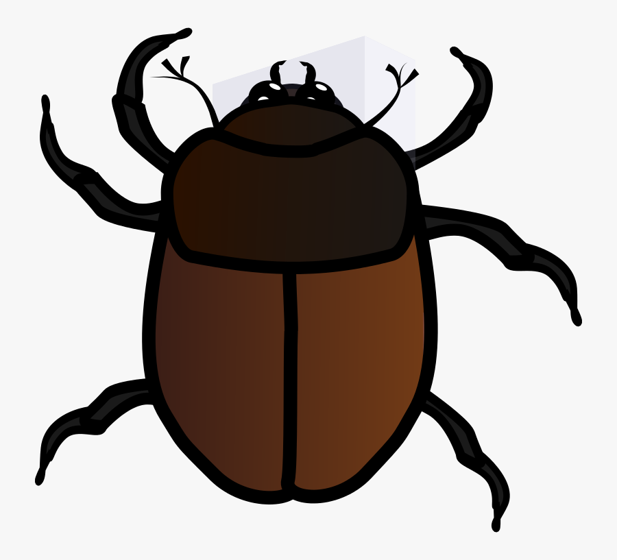 June Bug - June Bug Clipart, Transparent Clipart