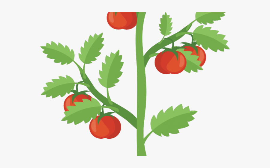Bush Clipart Lake Plant - Transparent Tomato Plant Clipart, Transparent Clipart
