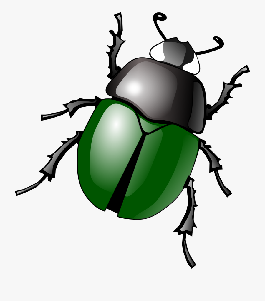 Thumb Image - Clipart Insect, Transparent Clipart