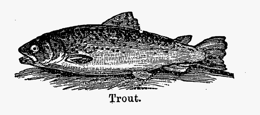 Digital Stamp Design - Billfish, Transparent Clipart