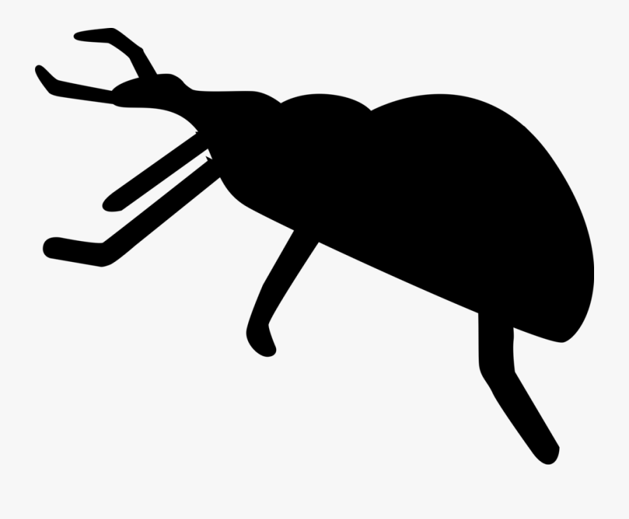 Silhouette Panda Free Images - Black Bug Clipart, Transparent Clipart