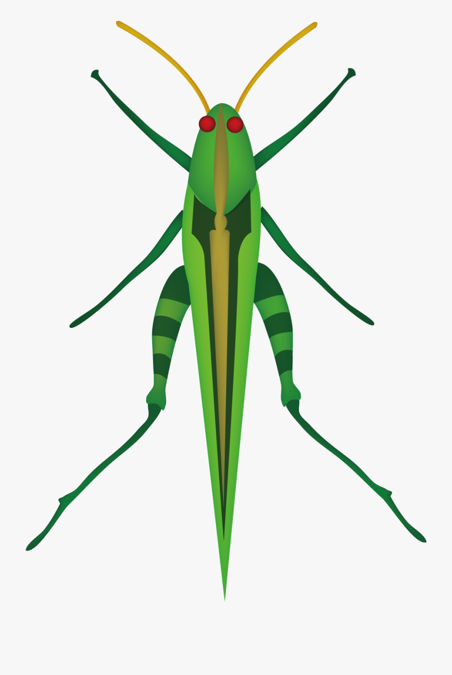 Locust Clipart Cricket Insect - Top View Of A Grasshopper, Transparent Clipart