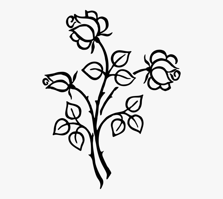 Flower Clipart Black And White Png, Transparent Clipart