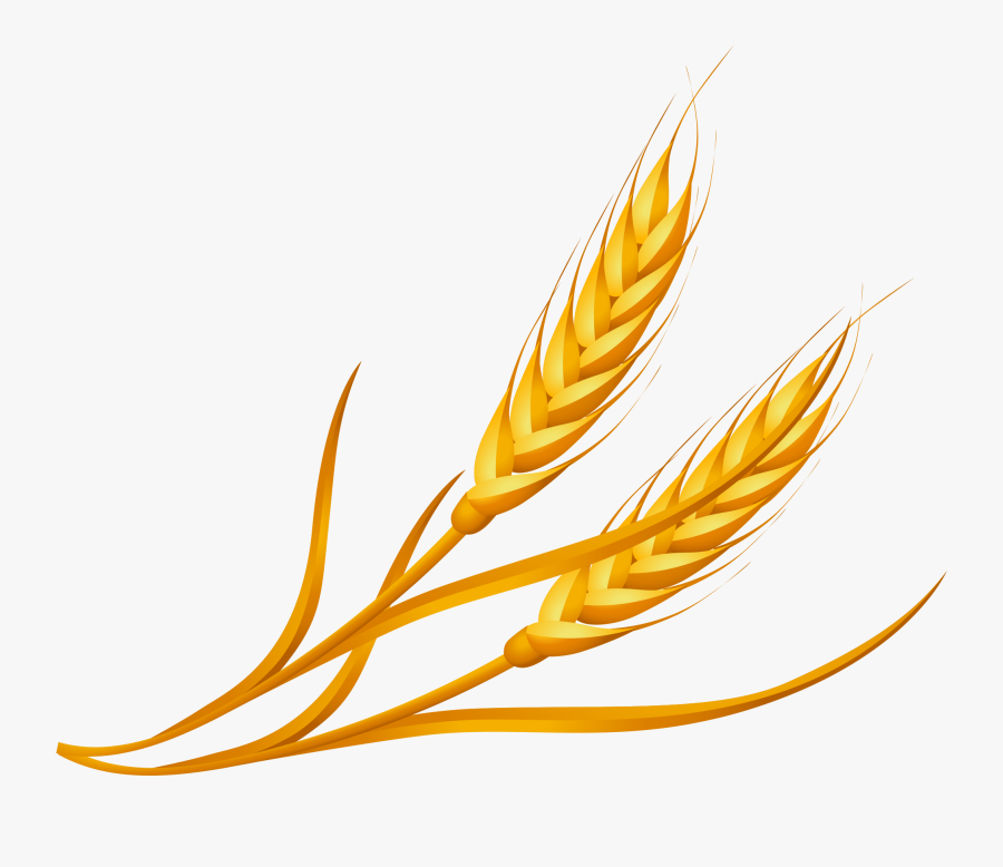 Wheat Clipart Png Image Free Download Searchpng - Wheat Png, Transparent Clipart