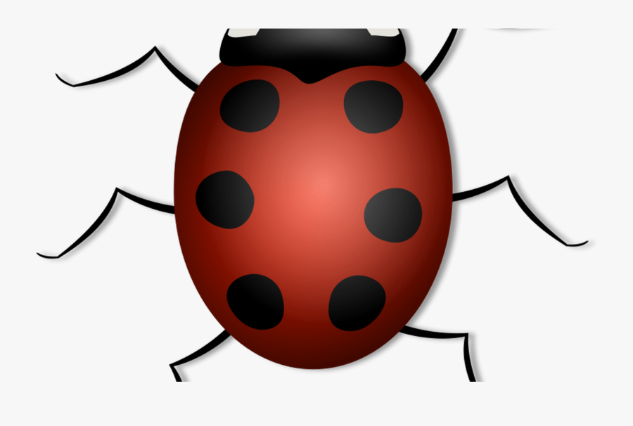 Free Lady Bug Clipart, Download Free Clip Art, Free - Any Insect Which Has 6 Legs, Transparent Clipart