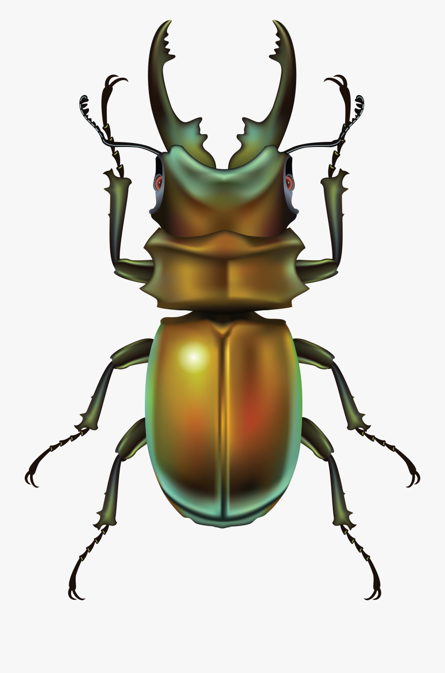 Bug Clipart Clipartfest - Жук Пнг, Transparent Clipart