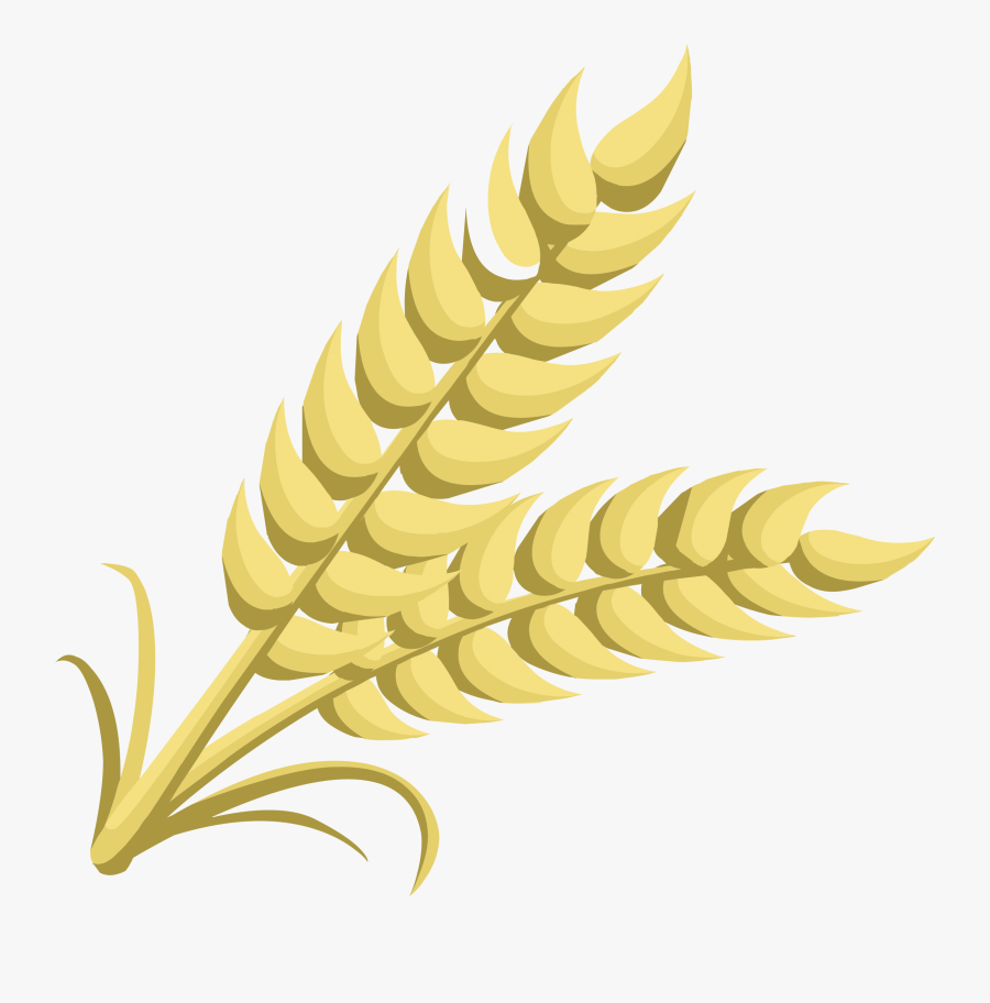 Wheat Clip Art - Grain Clipart, Transparent Clipart