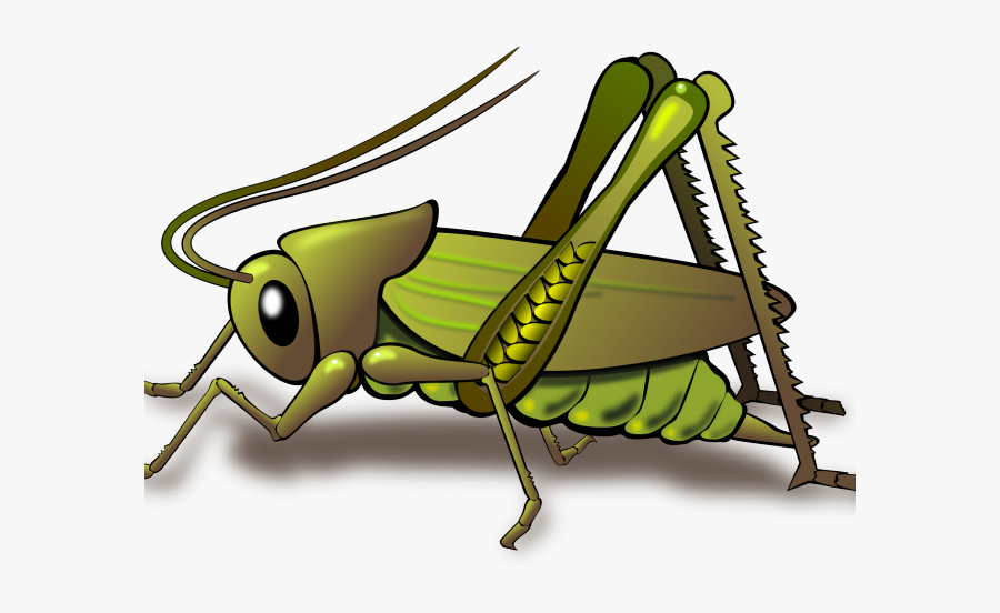 Grasshopper Clipart Png, Transparent Clipart