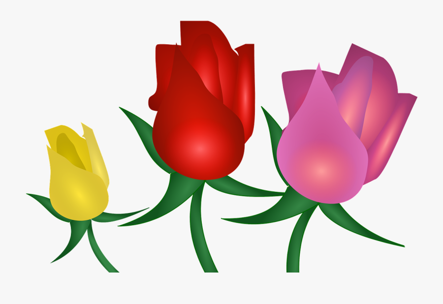 Rose Flowers Floral Clipart , Png Download - Flower, Transparent Clipart