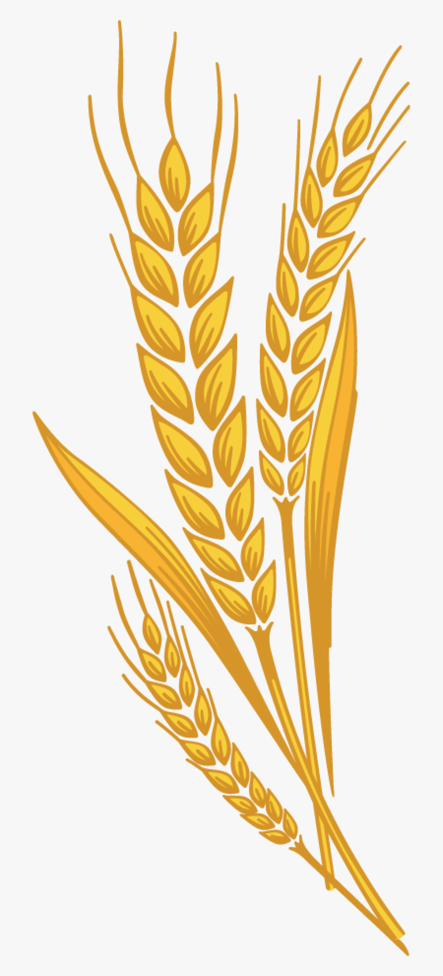 Clip Art Clip Art Wheat - Transparent Harvest Clipart, Transparent Clipart