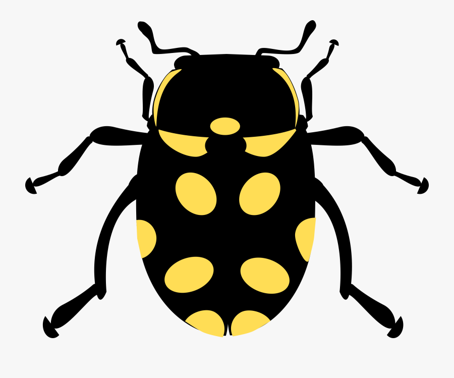 Lightning Bug Clipart - Insects Canrash, Transparent Clipart