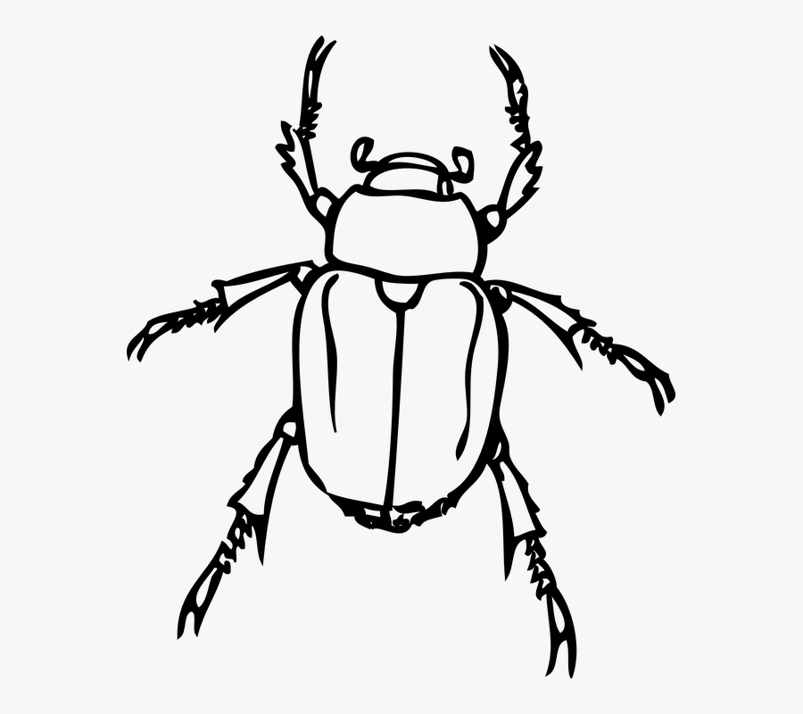 Thumb Image - Beetles Clip Art, Transparent Clipart