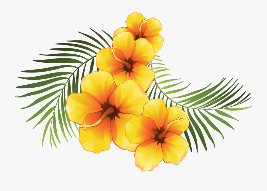Unique Floral Clipart Transparent For You - Tropical Flower Vector Png, Transparent Clipart