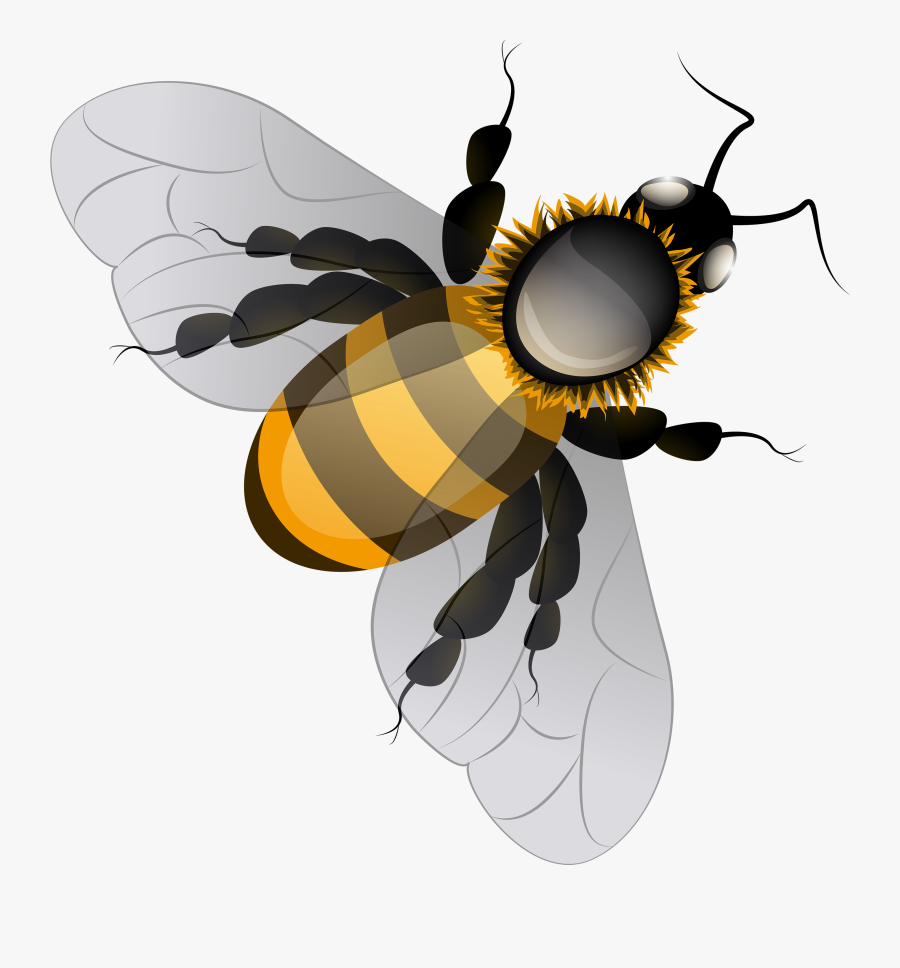 Bee Png Clip Art - Clip Art Bee Png, Transparent Clipart