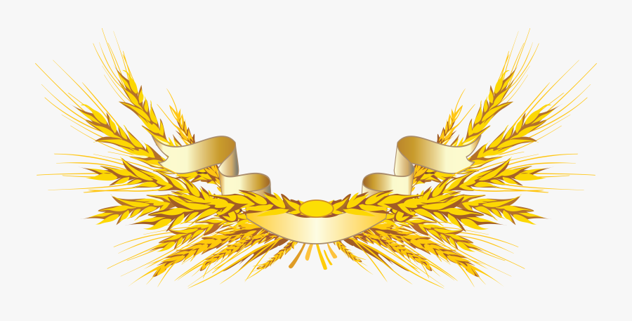 Wheat Grass Vector Png, Transparent Clipart