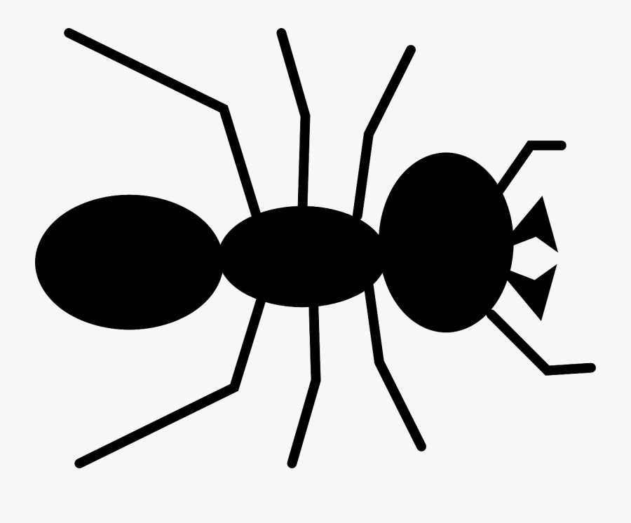 Transparent Bugs Clipart Black And White - Ant Clipart, Transparent Clipart