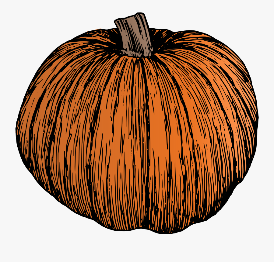 Vector Transparent Clipart Pumpkin - Pumpkin Illustration Black And White, Transparent Clipart