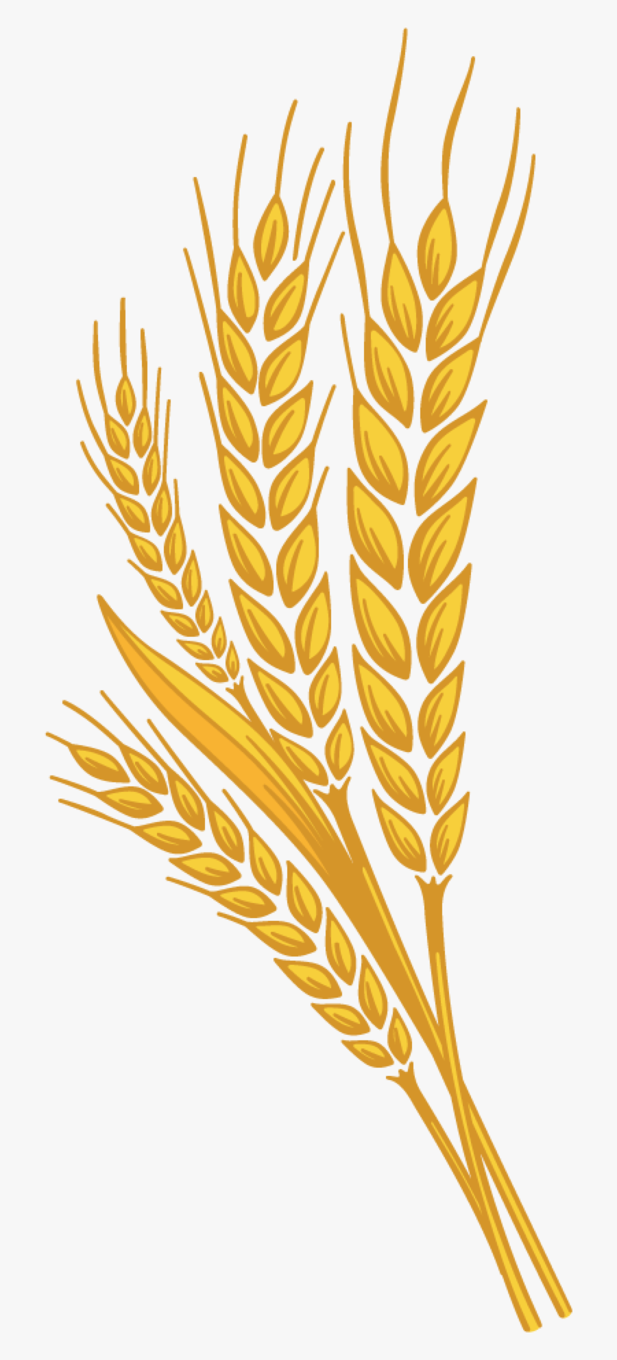 Wheat Png, Transparent Clipart