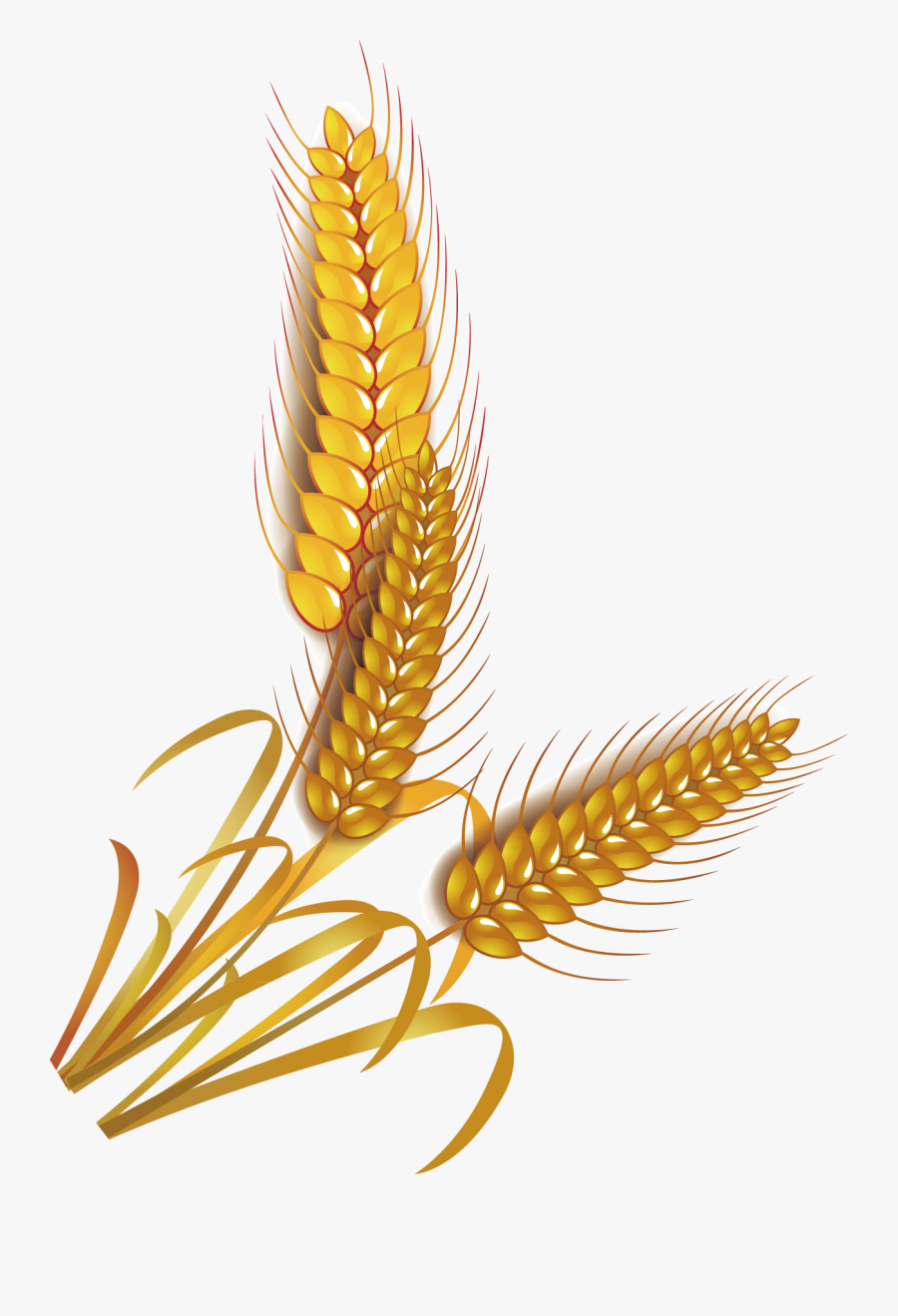 Wheat Rice Cereal Whole Grain Clip Art - Whole Grain Clip Art, Transparent Clipart
