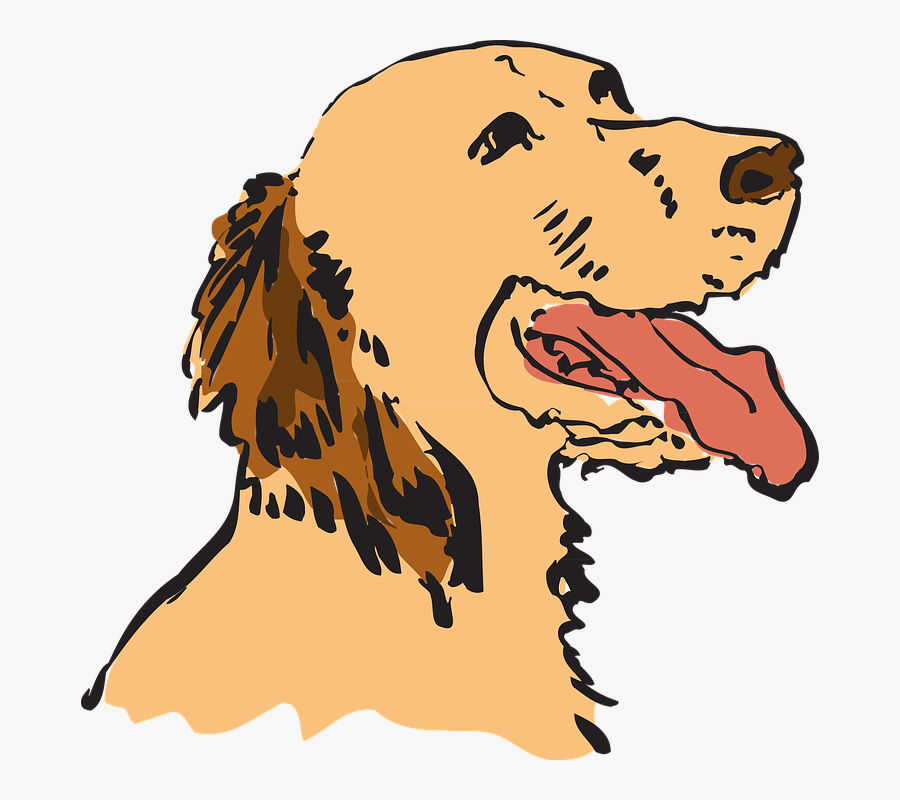 Dog, Pet, Animal, Tired, Panting, Pants, Tire - Golden Retriever Png Animated, Transparent Clipart