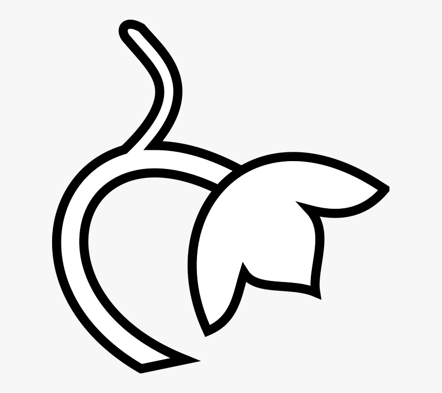 Flower Stem White Clip Art - Pumpkin Stem Clipart Black And White, Transparent Clipart