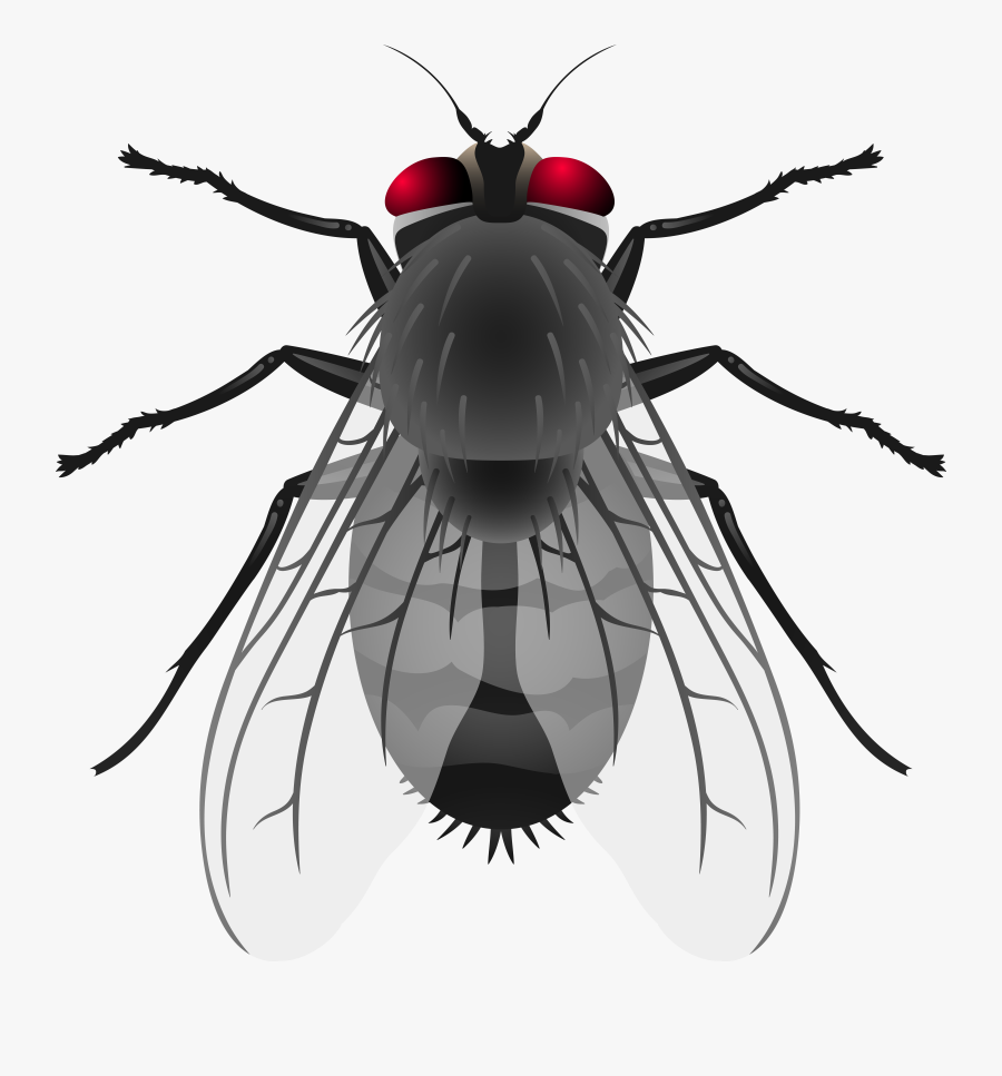 Png Clip Art Best, Transparent Clipart